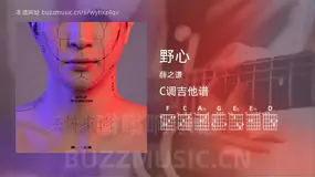 野心 薛之谦 吉他谱C调简单版