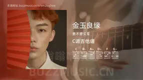 金玉良缘 要不要买菜 吉他谱C调简单版