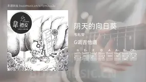 阴天的向日葵 韦礼安 吉他谱G调简单版