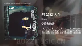 只是这人生 许美静 吉他谱G调简单版