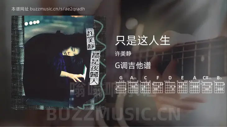 只是这人生 许美静 吉他谱G调简单版