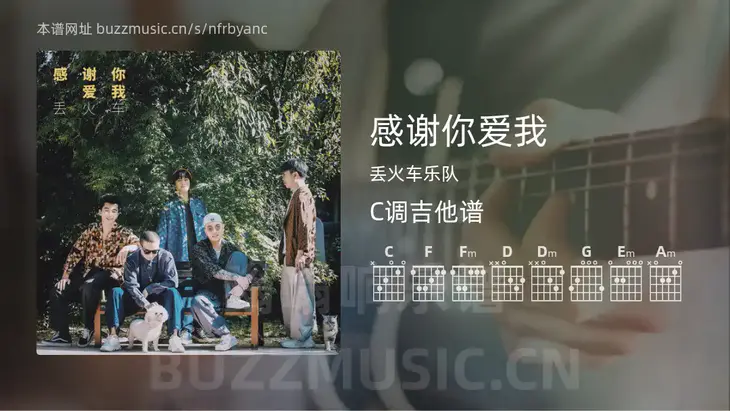 感谢你爱我 丢火车乐队 吉他谱C调简单版
