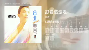 跟着感觉走 苏芮 吉他谱C调简单版