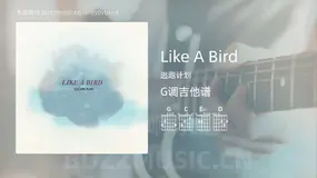 Like A Bird 逃跑计划 吉他谱G调简单版