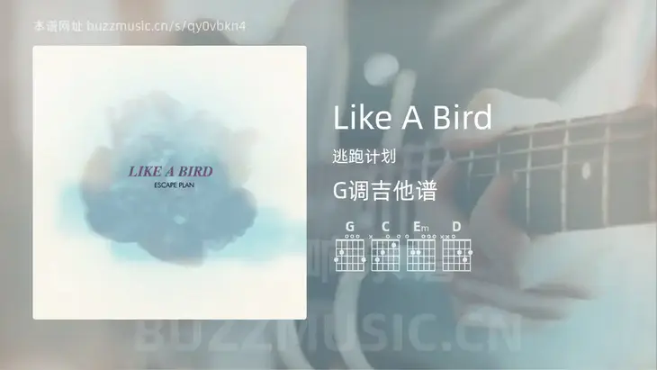 Like A Bird 逃跑计划 吉他谱G调简单版