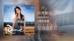 分开旅行 刘若英,黄立行 吉他谱C调简单版