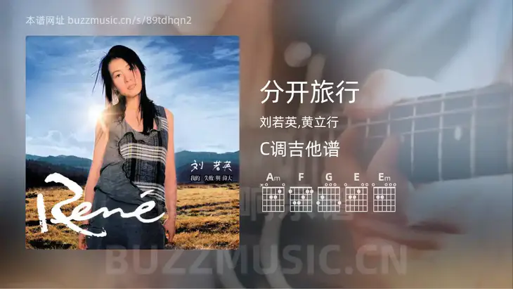 分开旅行 刘若英,黄立行 吉他谱C调简单版
