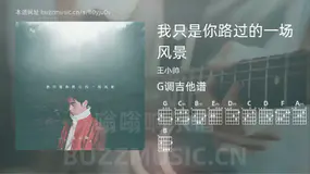 我只是你路过的一场风景 王小帅 吉他谱G调简单版
