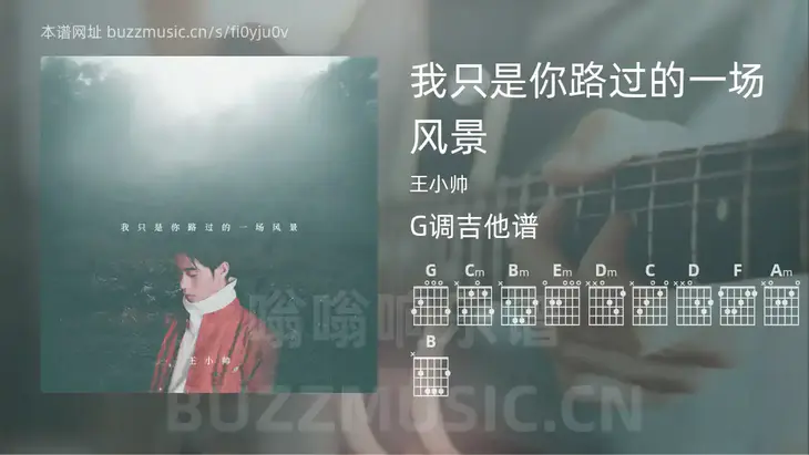 我只是你路过的一场风景 王小帅 吉他谱G调简单版
