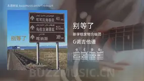 别等了 新学校废物合唱团 吉他谱G调简单版