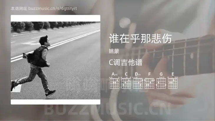 谁在乎那悲伤 姚蒙 吉他谱C调简单版
