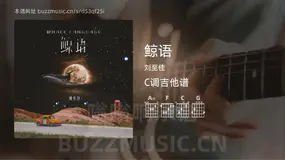 鲸语吉他谱C调 刘至佳 简单版