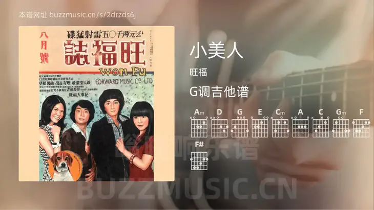 小美人 旺福 吉他谱G调简单版