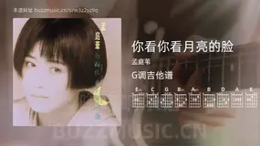 你看你看月亮的脸 孟庭苇 吉他谱G调简单版