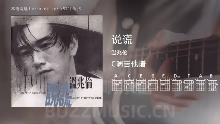 说谎吉他谱C调 温兆伦 简单版