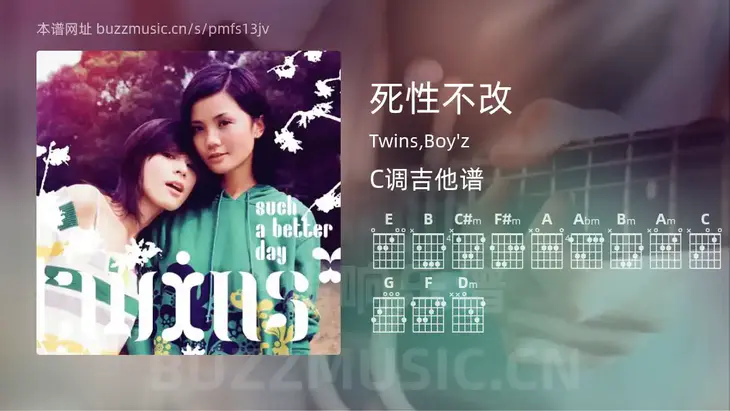 死性不改吉他谱C调 Twins,Boy’z 简单版