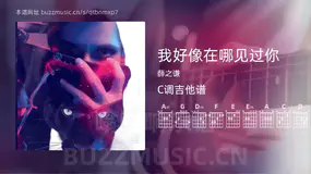 我好像在哪见过你 薛之谦 吉他谱C调简单版