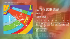 无与伦比的美丽 苏打绿 吉他谱C调简单版