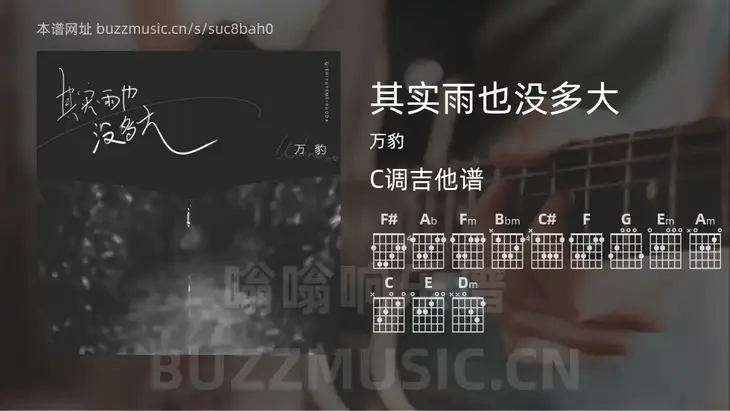 其实雨也没多大 万豹 吉他谱C调简单版