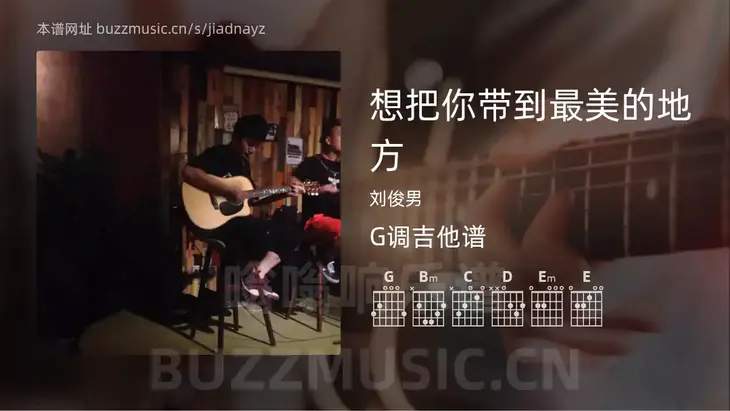 想把你带到最美的地方 刘俊男 吉他谱G调简单版
