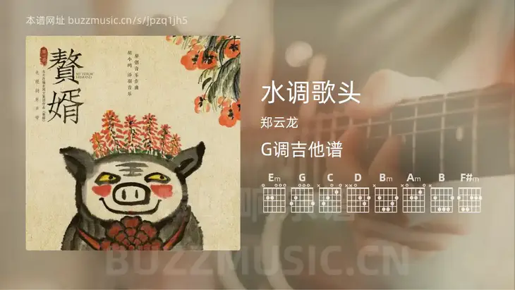 水调歌头 郑云龙 吉他谱G调简单版