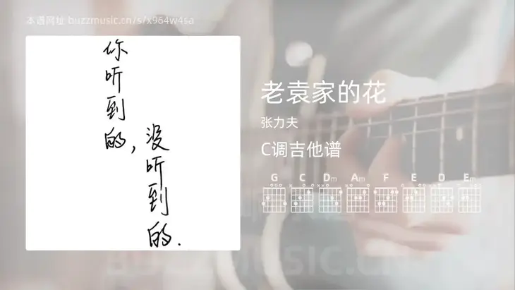 老袁家的花吉他谱C调 张力夫 简单版
