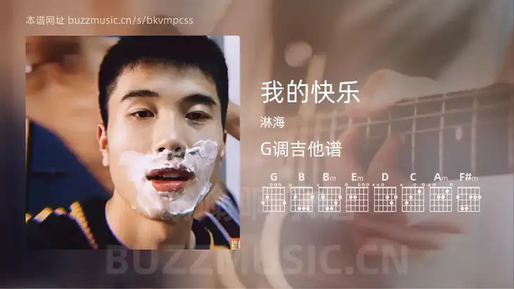 我的快乐 淋海 吉他谱G调简单版