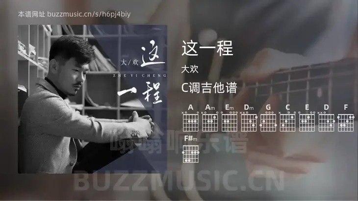 这一程 大欢 吉他谱C调简单版