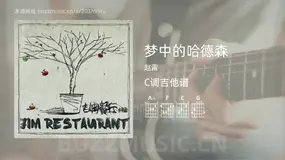 梦中的哈德森 赵雷 吉他谱C调简单版