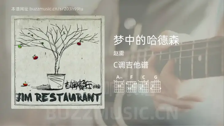 梦中的哈德森 赵雷 吉他谱C调简单版