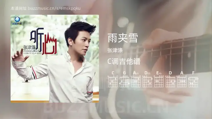 雨夹雪 张津涤 吉他谱C调简单版