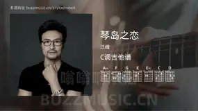 琴岛之恋 汪峰 吉他谱C调简单版