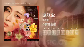 渡红尘 张碧晨 吉他谱G调简单版