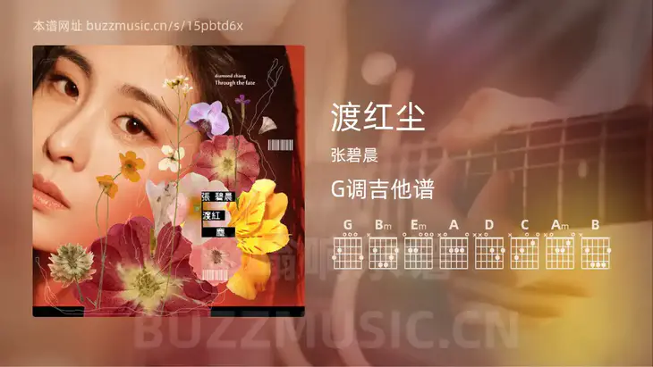 渡红尘 张碧晨 吉他谱G调简单版