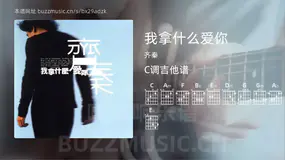 我拿什么爱你 齐秦 吉他谱C调简单版