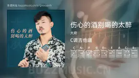 伤心的酒别喝的太醉 大欢 吉他谱C调简单版