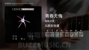 青春无悔 老狼,叶蓓 吉他谱G调简单版