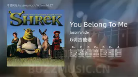 You Belong To Me Jason Wade 吉他谱G调简单版