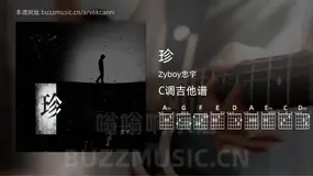 珍 Zyboy忠宇 吉他谱C调简单版
