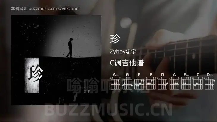 珍 Zyboy忠宇 吉他谱C调简单版