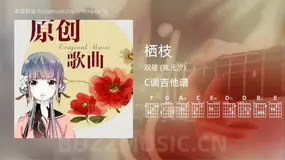 栖枝 双笙 (陈元汐) 吉他谱C调简单版