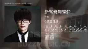 新鸳鸯蝴蝶梦 许嵩 吉他谱G调简单版