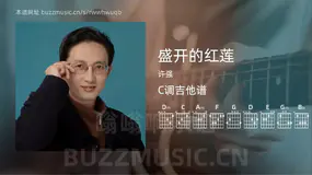 盛开的红莲 许强 吉他谱C调简单版