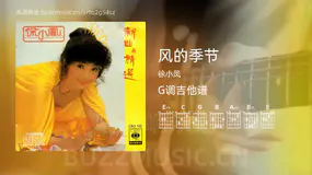风的季节 徐小凤 吉他谱G调简单版