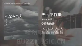 天公不作美吉他谱G调 黄静美,小云 简单版