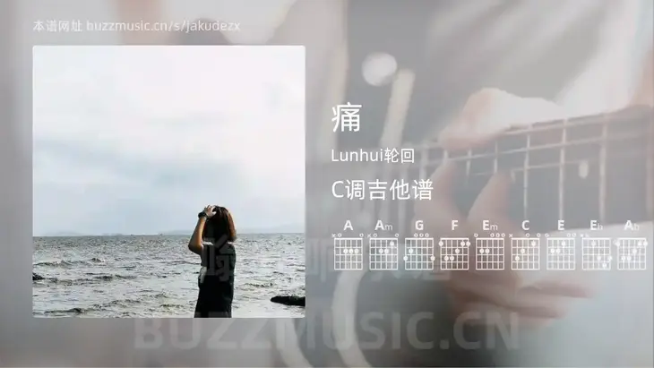 痛 Lunhui轮回 吉他谱C调简单版