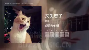 又失恋了 花粥 吉他谱G调简单版