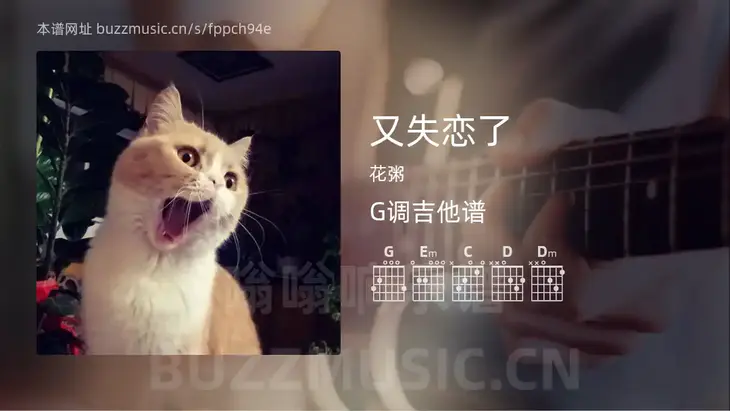 又失恋了 花粥 吉他谱G调简单版