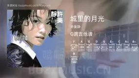 城里的月光 许美静 吉他谱G调简单版
