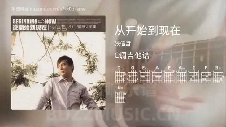 从开始到现在 张信哲 吉他谱C调简单版